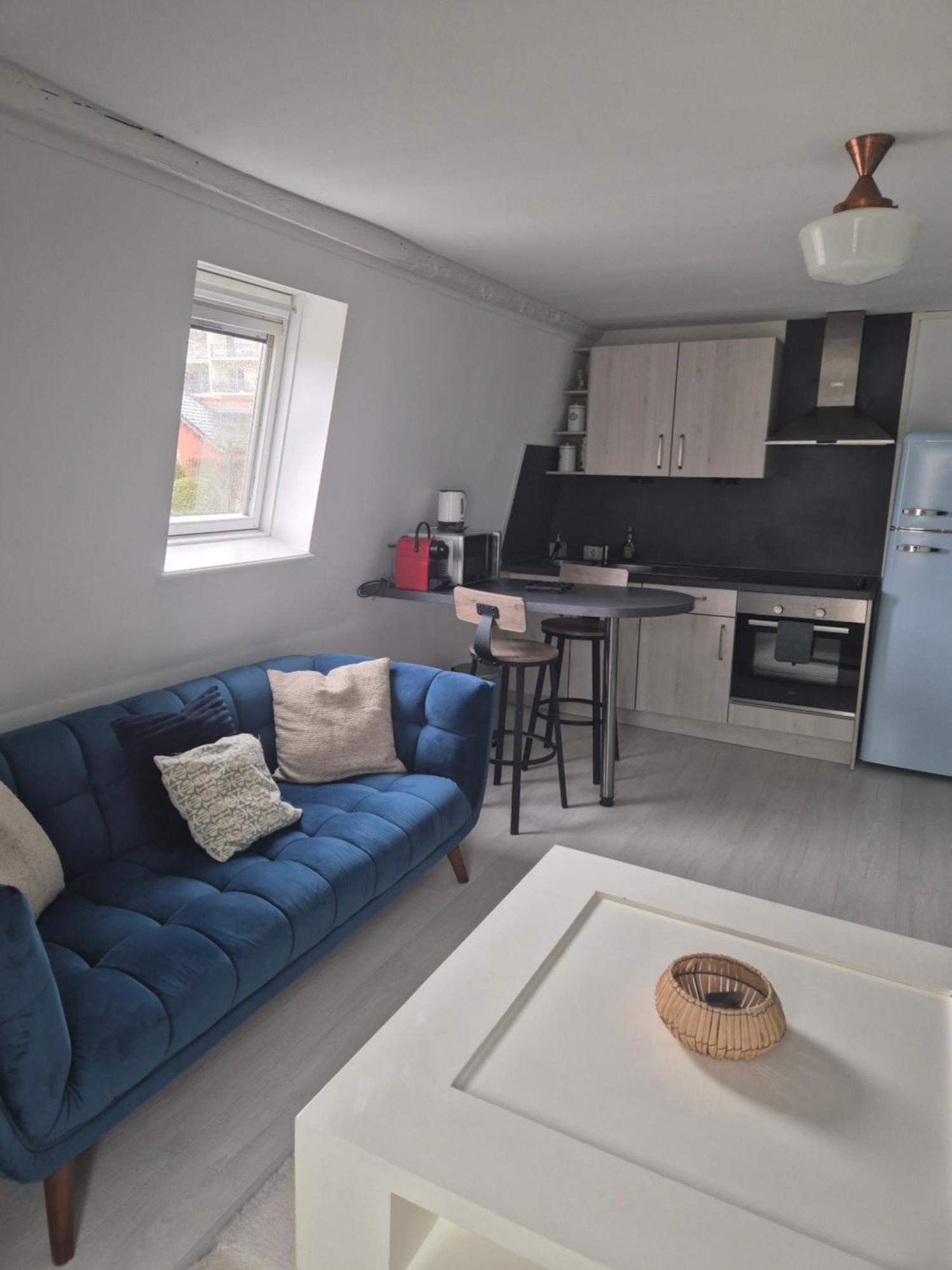 La Mansarde, Appartement Climatise En Centre Ville 勒米尔蒙 外观 照片